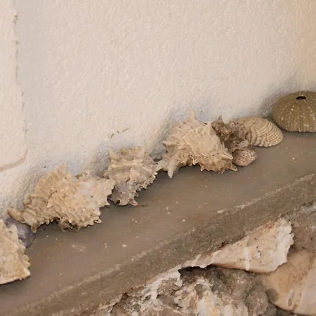 Apartman Seaside Secluded Lavdara, Dugi Otok - 8114 Sali