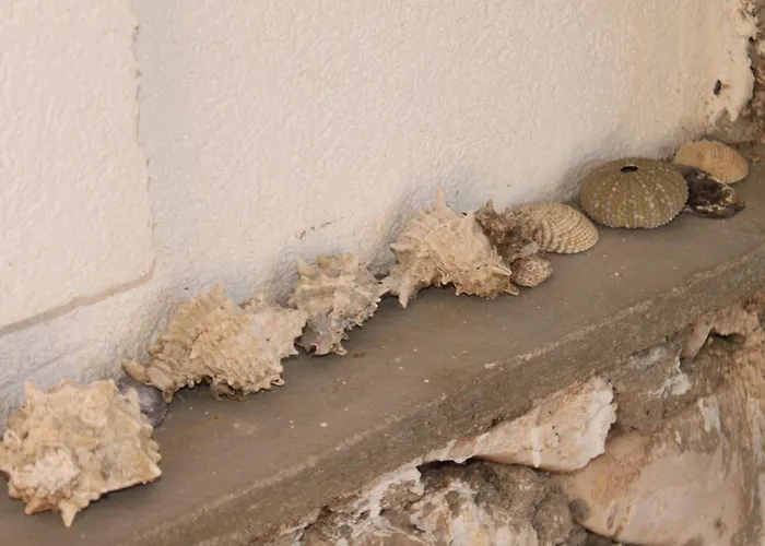 Appartement Seaside Secluded Lavdara, Dugi Otok - 8114 Sali